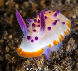 Purple Nudie!!! by George Touliatos 